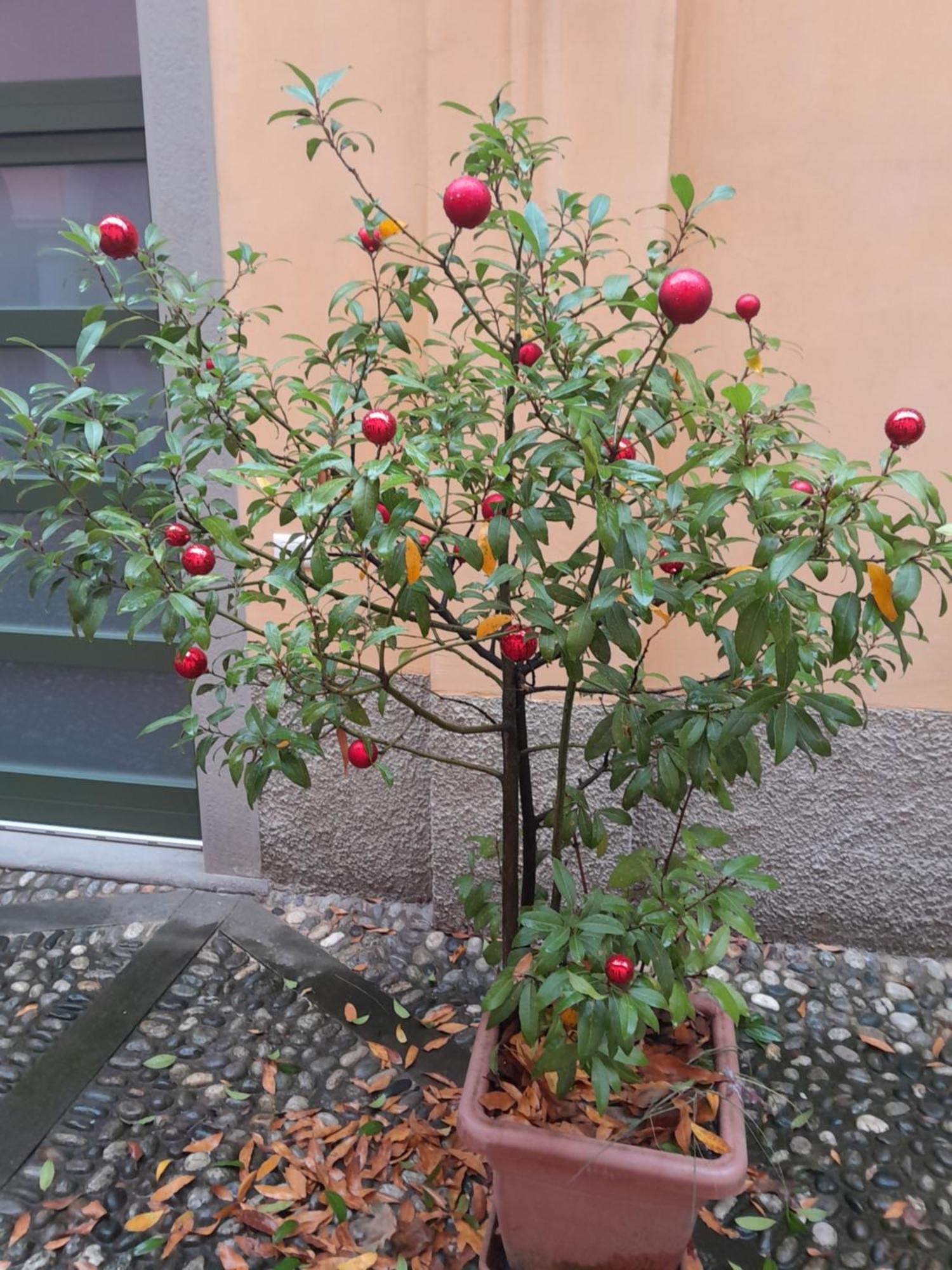 Appartement La Corte Dei Cappuccini *