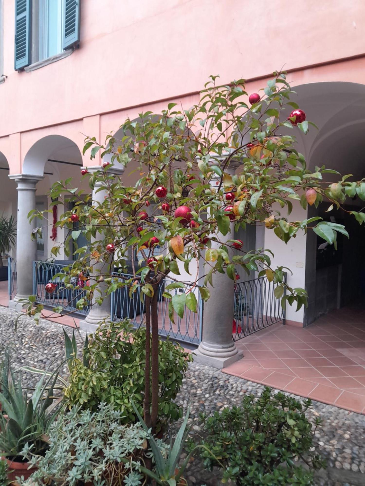 Appartement La Corte Dei Cappuccini *